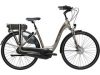 Meer over Giant Elegance E+ 1 Deluxe e-bike in Top 10 Beste Elektrische fietsen