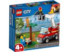 Bekijk LEGO City 4+ Barbecuebrand Blussen